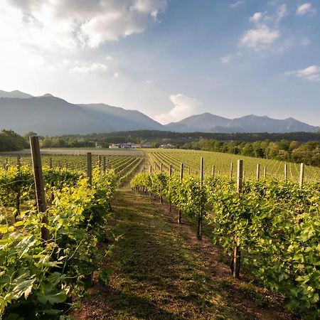 Agriturismo Al Col フォッリーナ エクステリア 写真