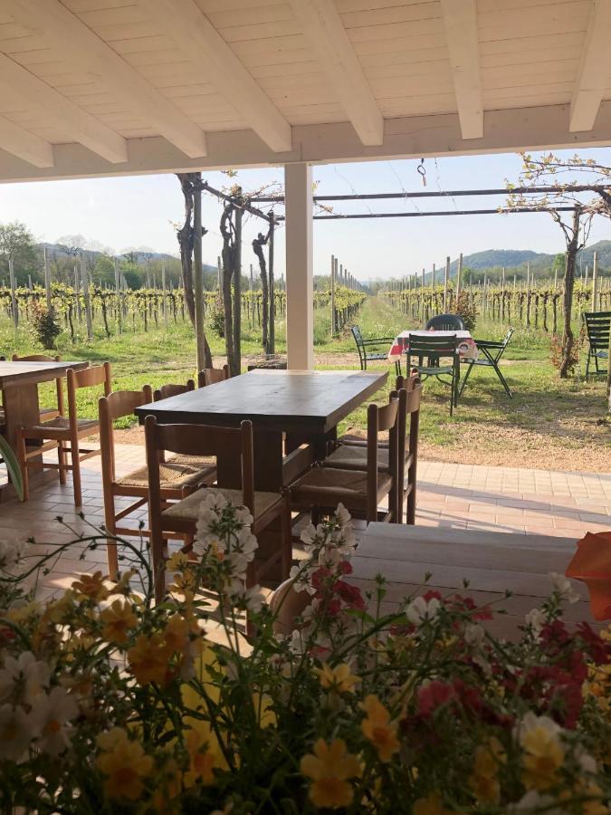 Agriturismo Al Col フォッリーナ エクステリア 写真