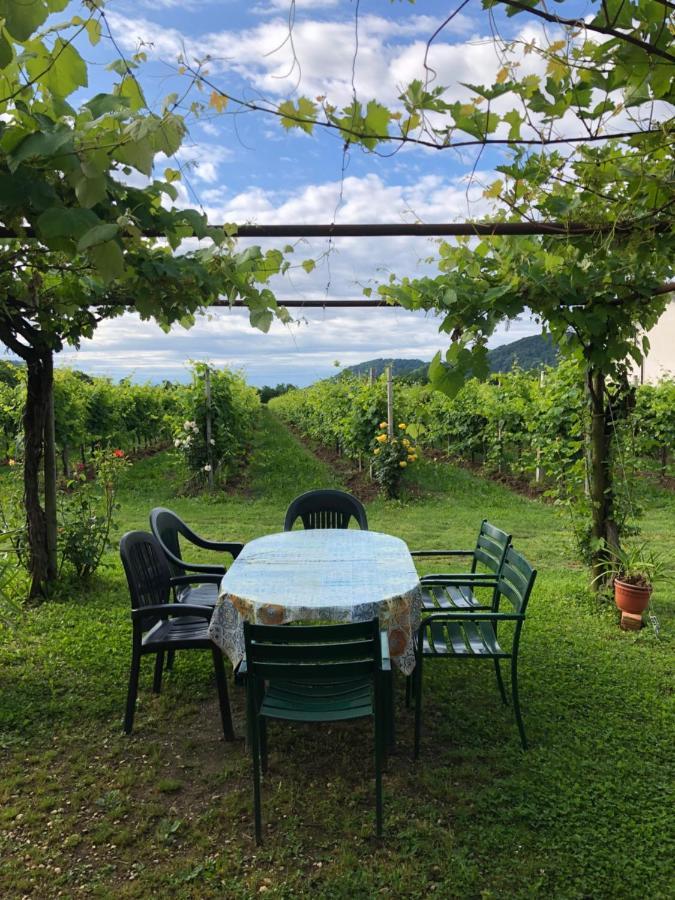Agriturismo Al Col フォッリーナ エクステリア 写真